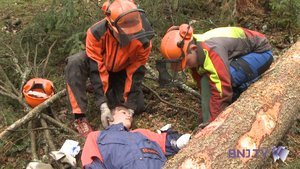 Accident virtuel en forêt