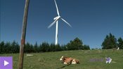 Seize éoliennes, un millième de l'électricité du pays