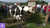 La Foire de Chaindon, entre tradition et évolution