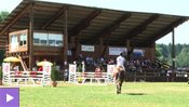 Les amoureux de hippisme réunis au Mont-de-Coeuve